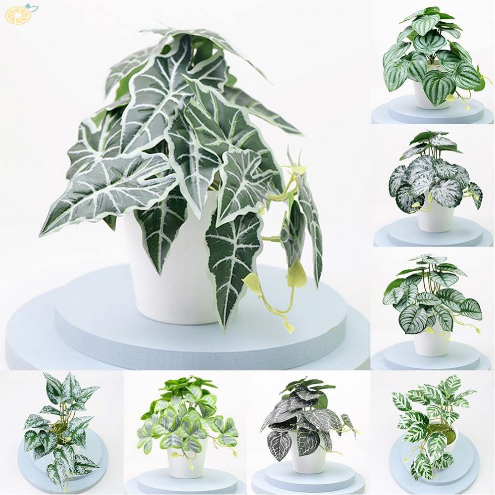 【VARSTR】Simulation Potted Artificial plants Decor Office and Home Decoration Bonsai Plant