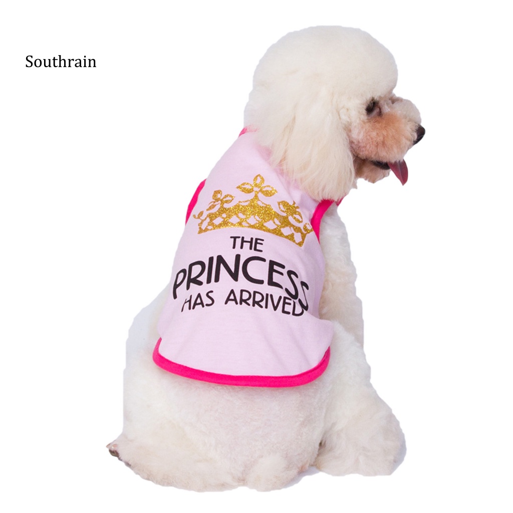 Áo Sát Nách Cổ Tròn In Chữ Thời Trang Cho Cún Cưng