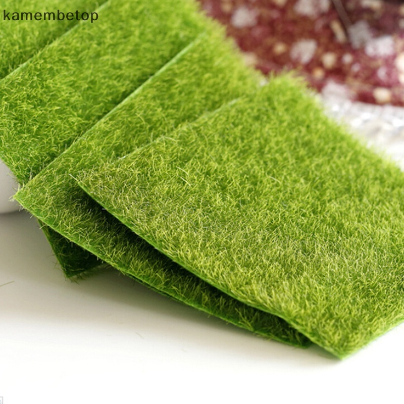 Đồ trang trí Bãi Cỏ Nhân Tạo Dùng Trang Trí Tiểu Cảnh DIY