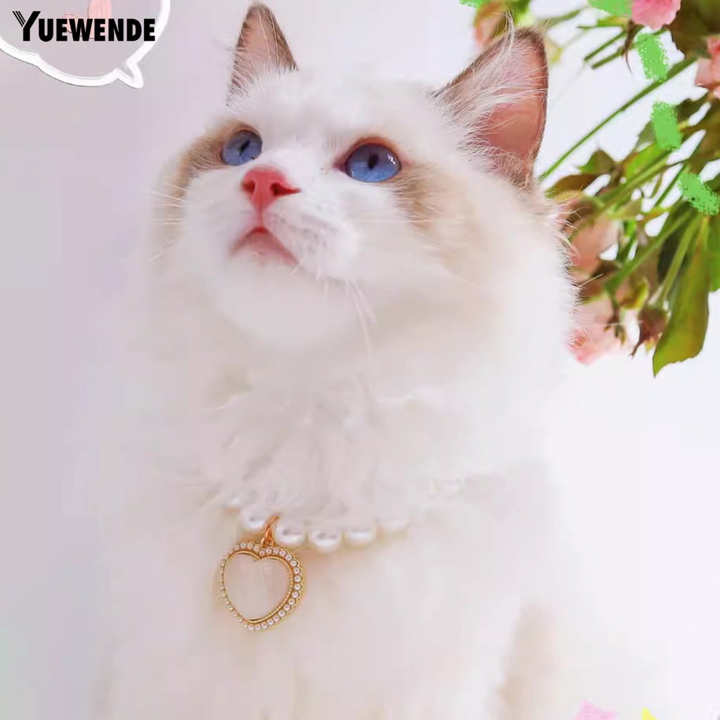 Vòng Cổ YQ.E Bề Mặt Mịn Màng Chống Phai Màu Có Thể Điều Chỉnh Trang Trí Cho Thú Cưng