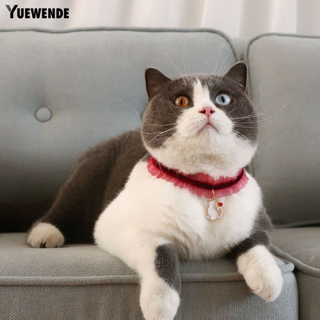 Vòng Cổ Co Giãn Trang Trí Hình Ảnh Dành Cho Thú Cưng YQ.E