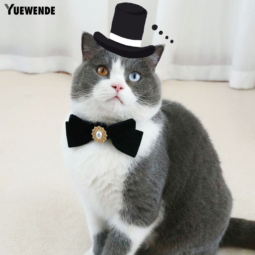 Vòng Cổ Ngọc Trai Giả Chống Sặc Đính Nơ Dễ Thương Cho Thú Cưng