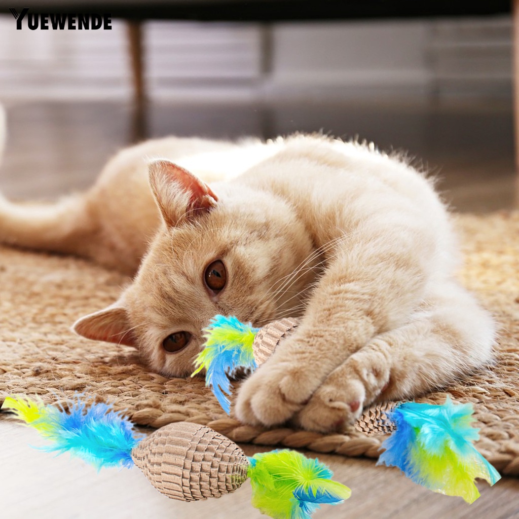 Set 2 Đồ Chơi Giấy Mài Móng Chống Mài Mòn Màu Sắc Tươi Sáng Thân Thiện Với Môi Trường Dành Cho Mèo
