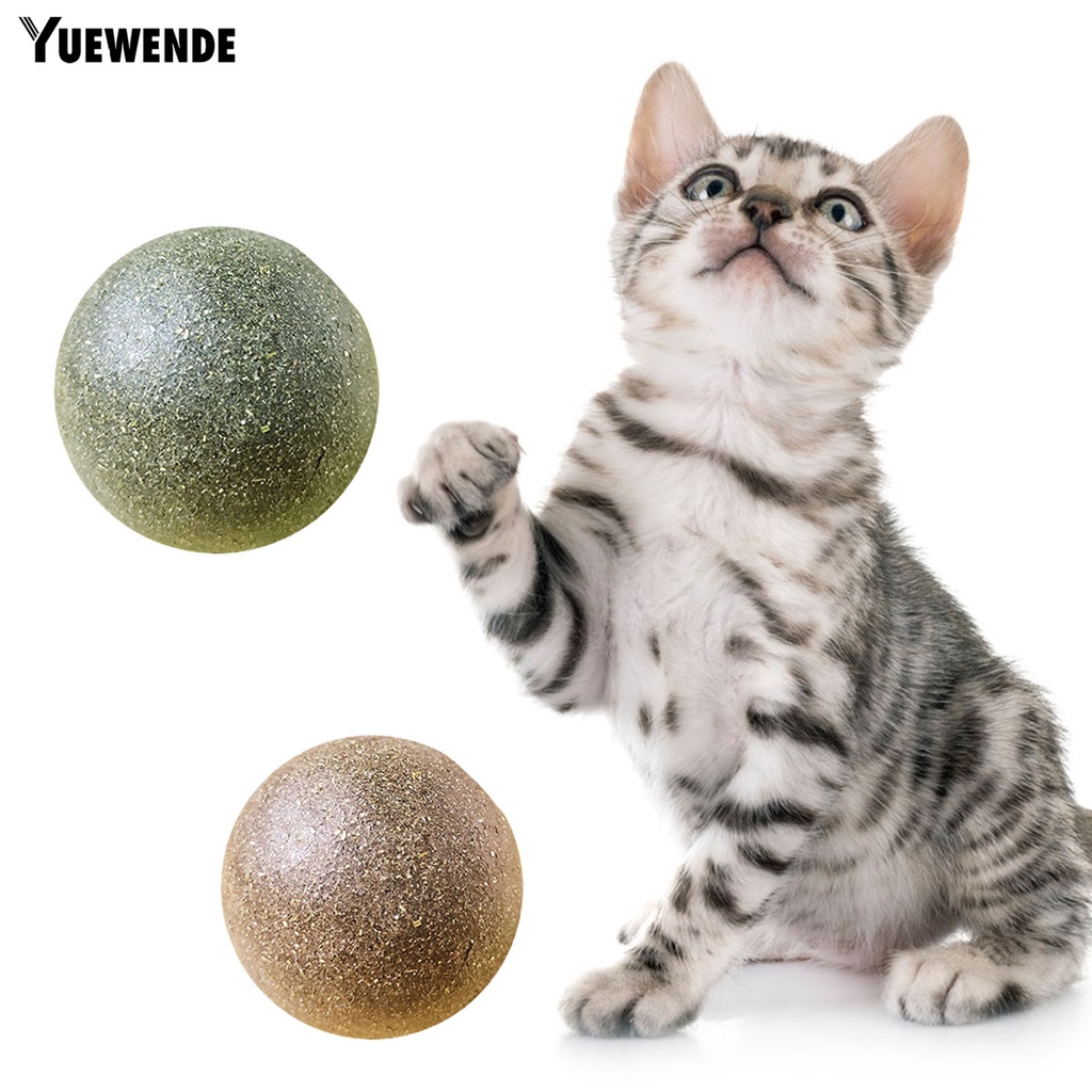 Yq.e Bóng Đồ Chơi Chất Liệu Tự Nhiên Bề Mặt Mịn Cỡ Lớn Làm Sạch Răng Cho Mèo Cưng