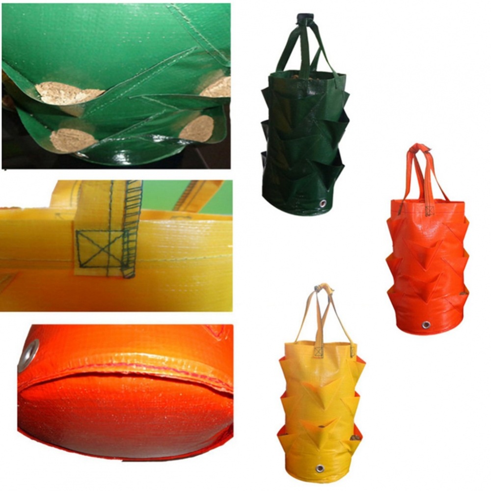 Túi Trồng Dâu Hình Tròn Bằng PE Chất Lượng Cao