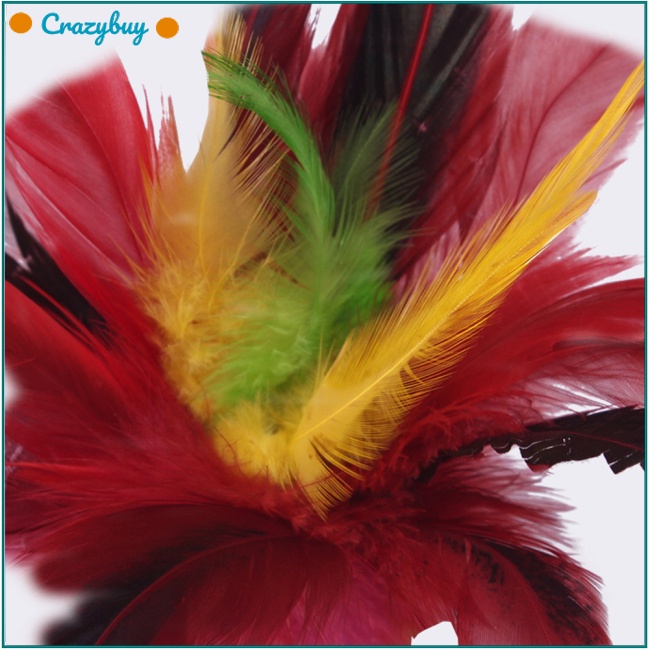 Cr Set 3 Lông Vũ Nhiều Màu 20cm Phong Cách Trung Hoa