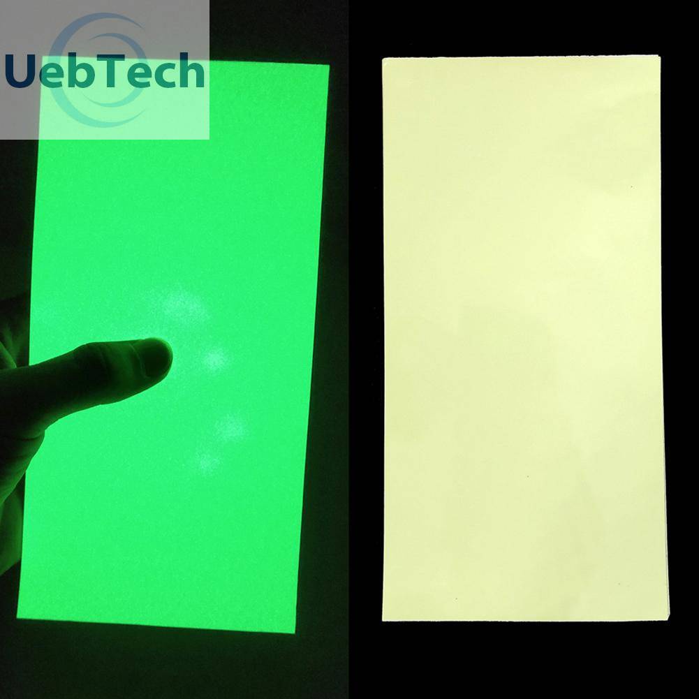 Bộ 12 Miếng Dán Mồi Câu Cá Hình Vảy Cá