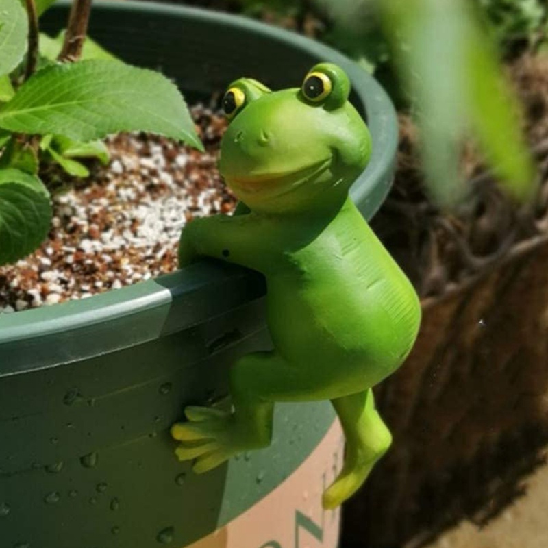 Chậu Cây Bonsai Hình Ếch Hoạt Hình Sáng Tạo Trang Trí Sân Vườn