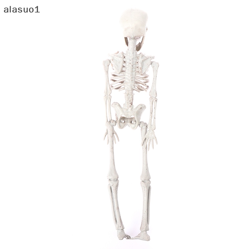 Bộ Xương Hóa Trang Halloween Kinh Dị 40cm