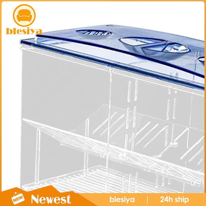 Hộp Nuôi Cá Dễ Sử Dụng Cho Văn Phòng Guppy Betta