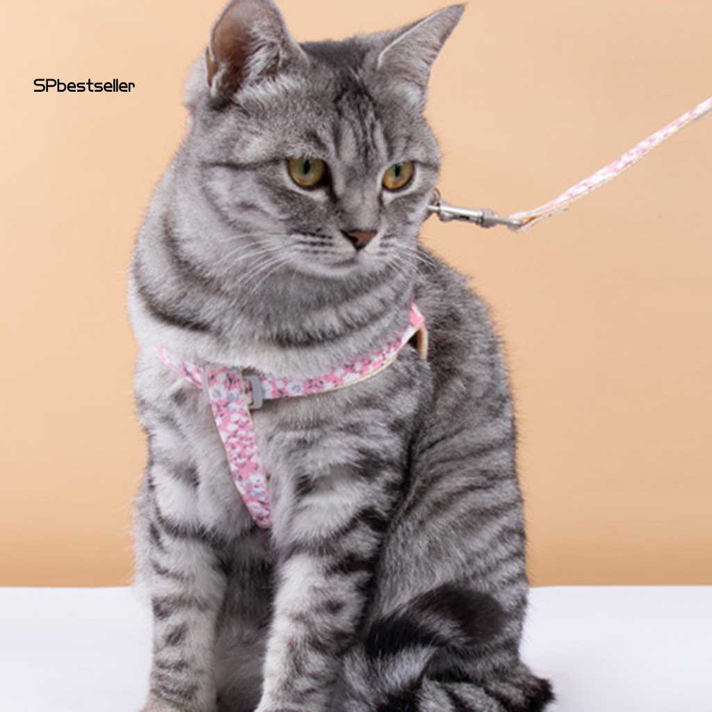 Dây Dắt Thú Cưng Đi Dạo Mềm Mại Thời Trang