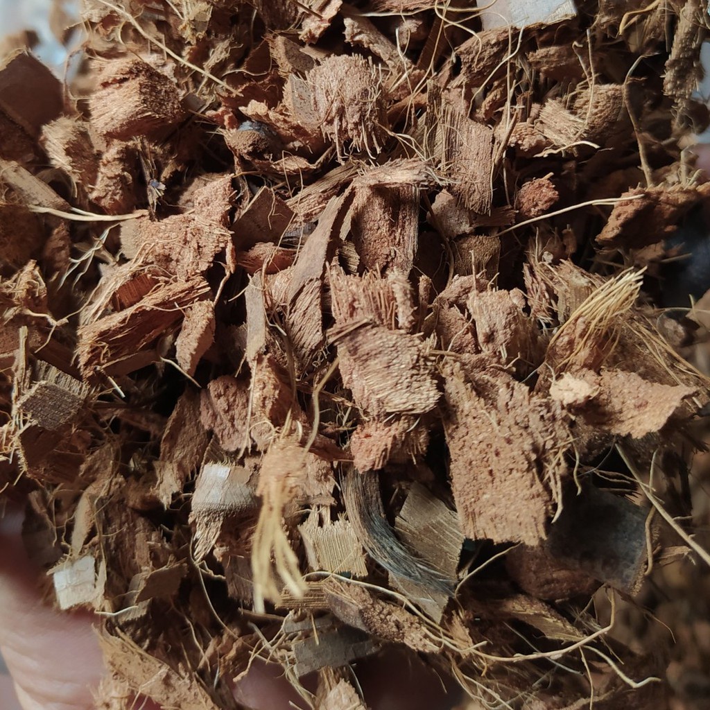 400G GIÁ THỂ VỎ DỪA KHÔ TRỒNG LAN ĐÃ QUA XỬ LÍ - DỄ DÀNG SỬ DỤNG, TIỆN LỢI