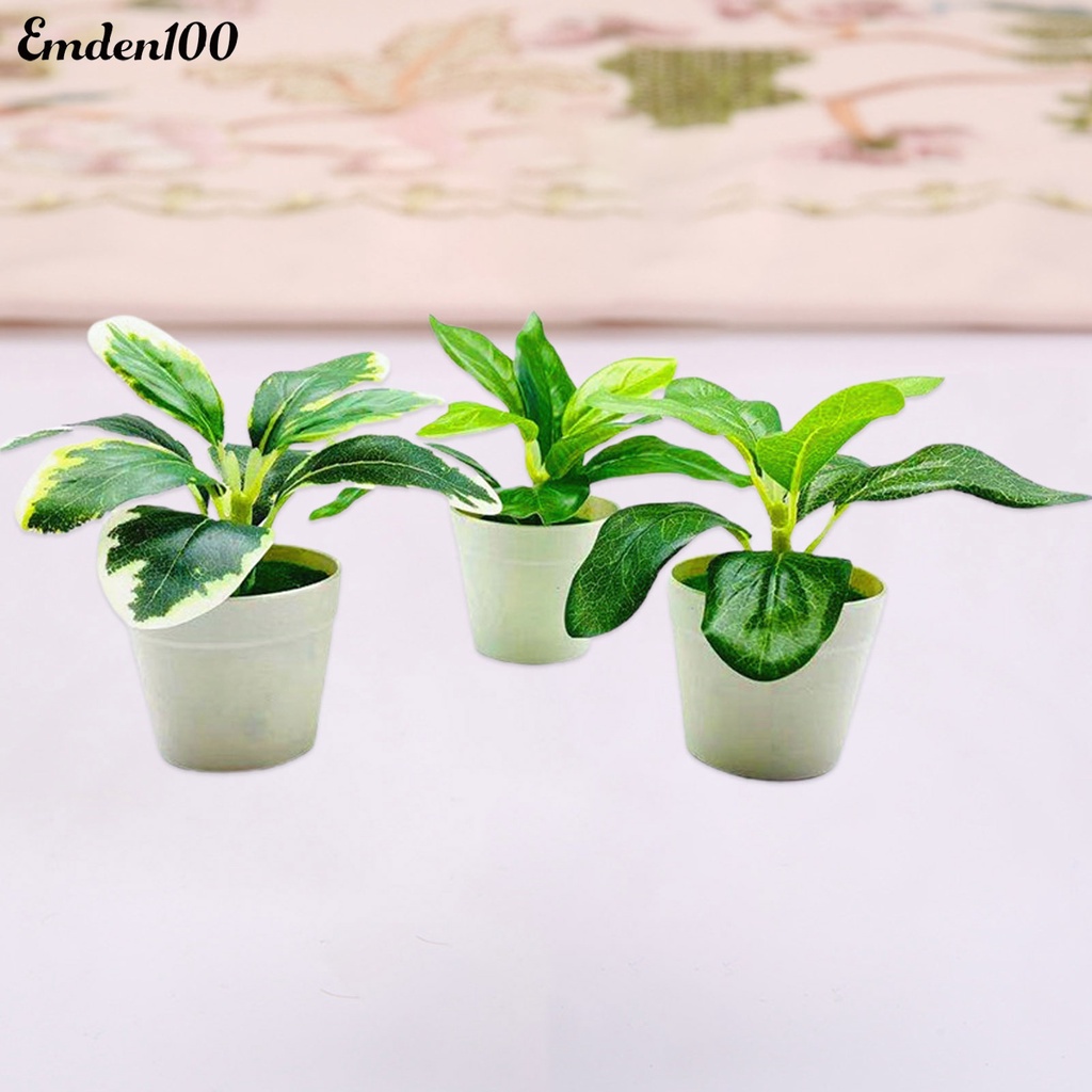 Chậu Cây Bonsai Giả Trang Trí Nội Thất