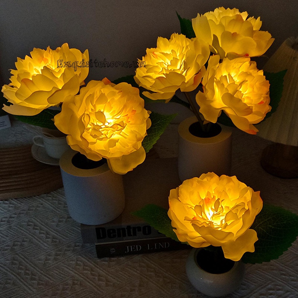 Bó Hoa Mẫu Đơn Có Đèn LED Phát Sáng