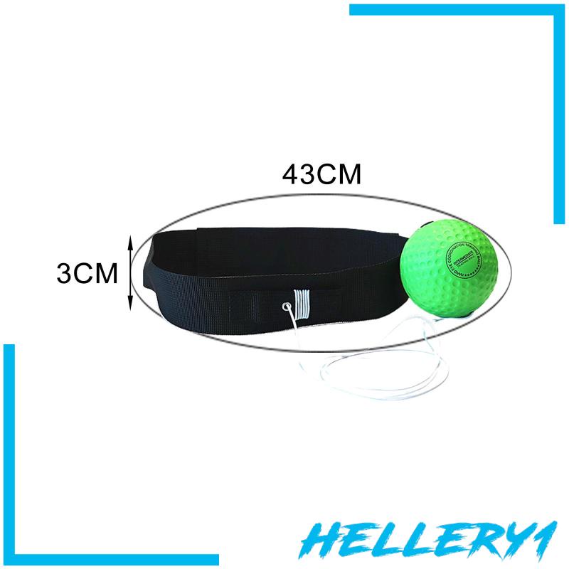 Bộ Bóng Tập Đấm Bốc Kèm Băng Đô Chuyên Dụng