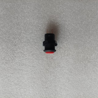 Công tắc 12mm, Nút nhấn giữ trạng thái