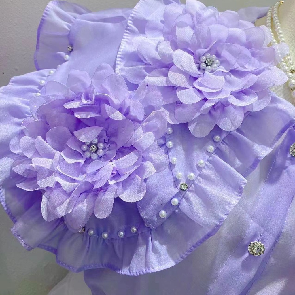 Áo Sơ Mi Phối Bèo Lá Sen Ba Chiều Thời Trang Mùa Hè 2023 Hàng Mới Dành Cho Bạn Nữ