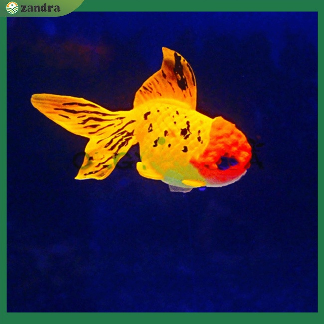 Mô Hình Cá Vàng Giả Bằng Silicone Phát Quang Dùng Trang Trí Bể Cá