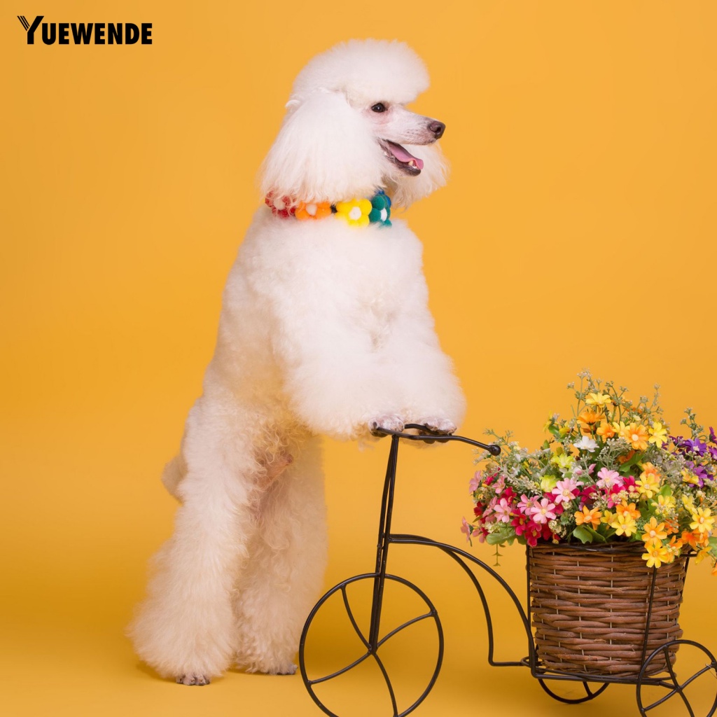 Vòng Cổ Bắt Mắt Mèo Lâu Trôi YE.B