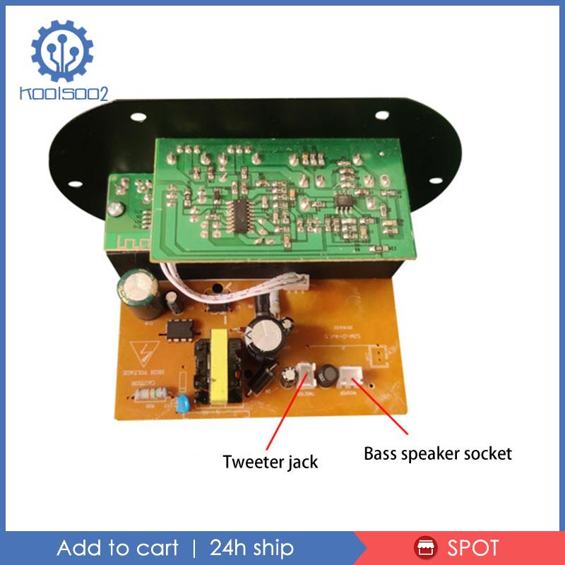 Mô Đun Khuếch Đại Âm Thanh Koolsoo2 Chuyên Dụng Cho Loa Tại Nhà
