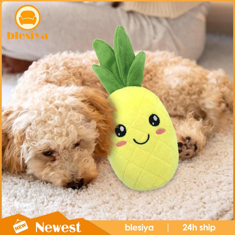 Đồ Chơi Nhai Gặm Tương Tác Dành Cho Chó Cỡ Nhỏ / Vừa / Lớn