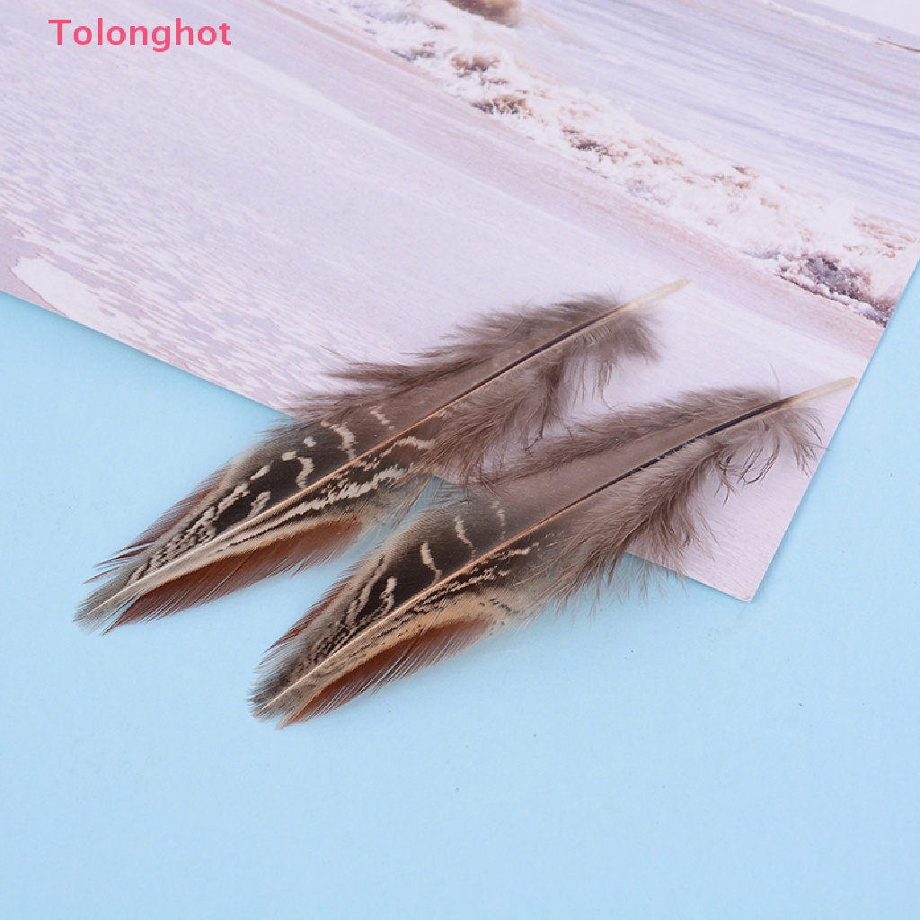 Set 50 Lông Gà 5-10cm Dùng Trang Trí Thủ Công diy