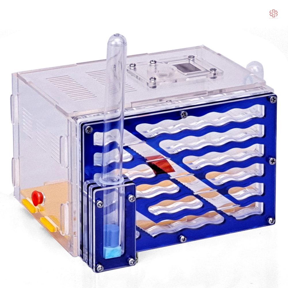 Vòng Đeo Tay mywatch CG1233 DIY 5 Lớp Acryl Ants Farm Với Bộ Làm Quà Tặng Sinh Nhật Có Độ Ẩm Cho Bé