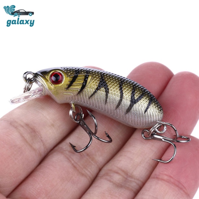 Galaxy Set 5 Mồi Giả Nhử Cá Mini Kèm Hộp Đựng