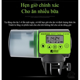 MÁY CHO CÁ ĂN TỰ ĐỘNG - Euro Quality