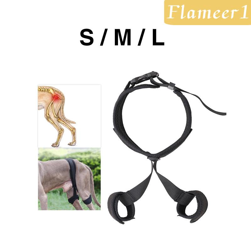 [Flameameer1] Đai Nẹp Hông Hỗ Trợ Cho Thú Cưng