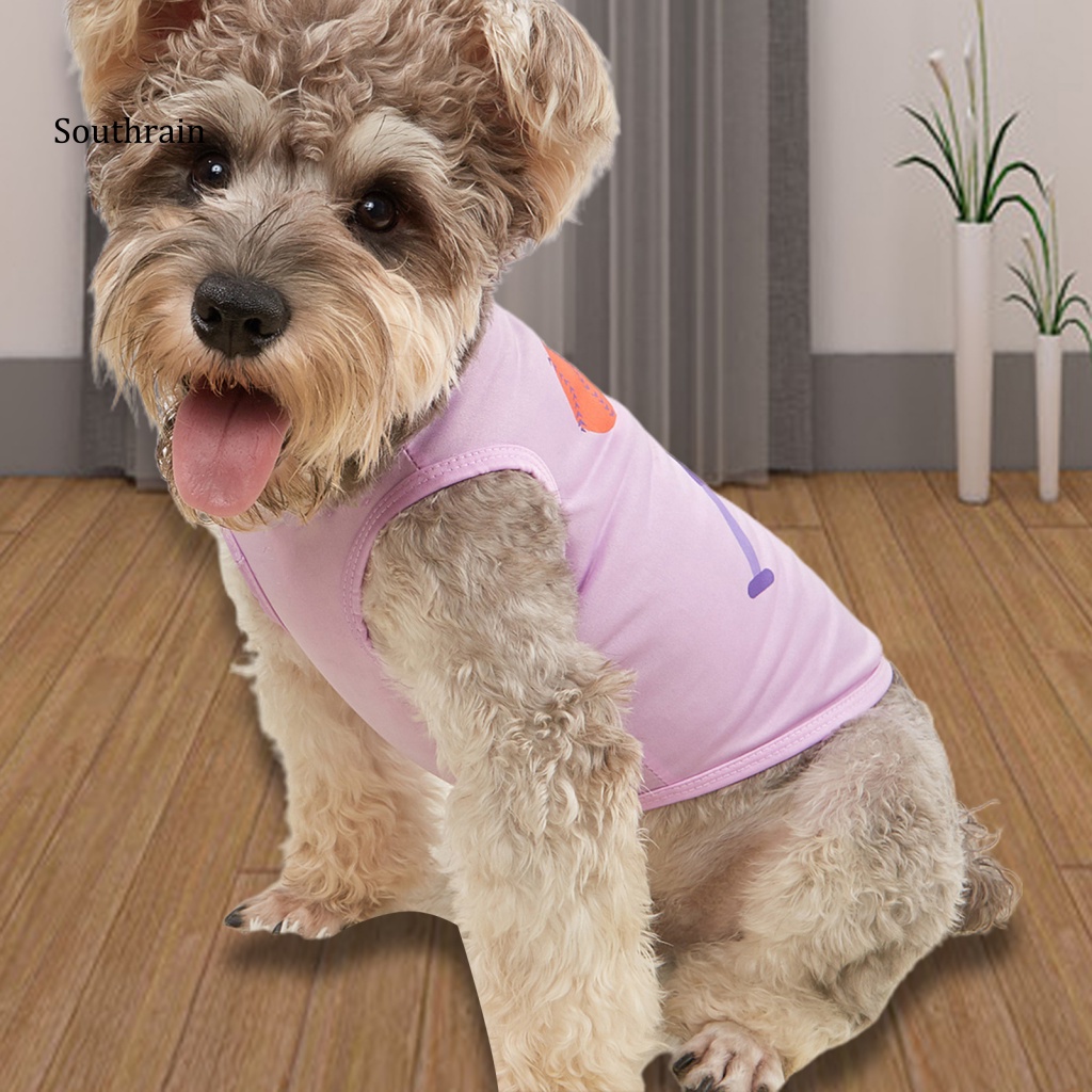 Áo Sweater Lưới Không Tay In Họa Tiết Hoạt Hình Dễ Thương Thời Trang Mùa Hè Cho Thú Cưng