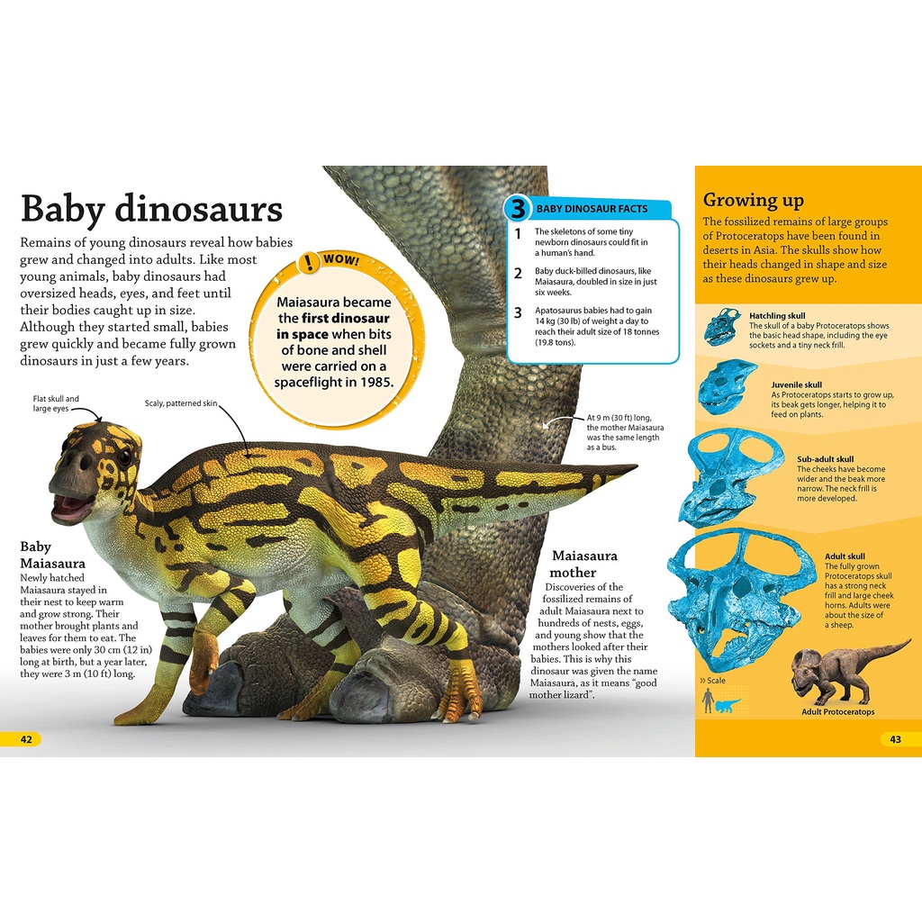 DKfindout! Dinosaurs