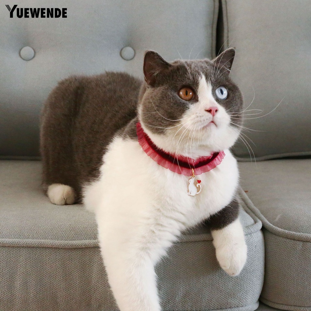 Vòng Cổ Co Giãn Trang Trí Hình Ảnh Dành Cho Thú Cưng YQ.E