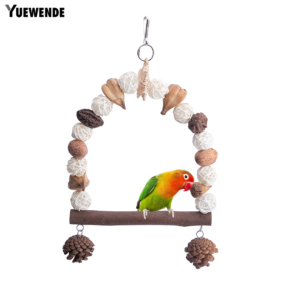 Đồ Chơi Treo Quả Thông Dành Cho Chim Vẹt