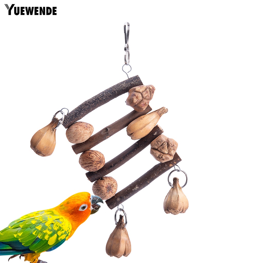 Đồ Chơi Tháo Lắp Linh Hoạt Chống Trầy Xước An Toàn Cho Vẹt Macaw