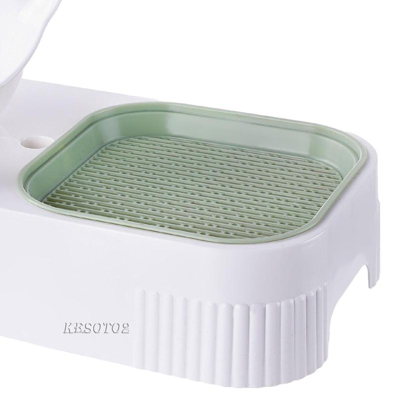 Khay Cỏ 2 Ngăn Cho Mèo Trồng Cây Mầm