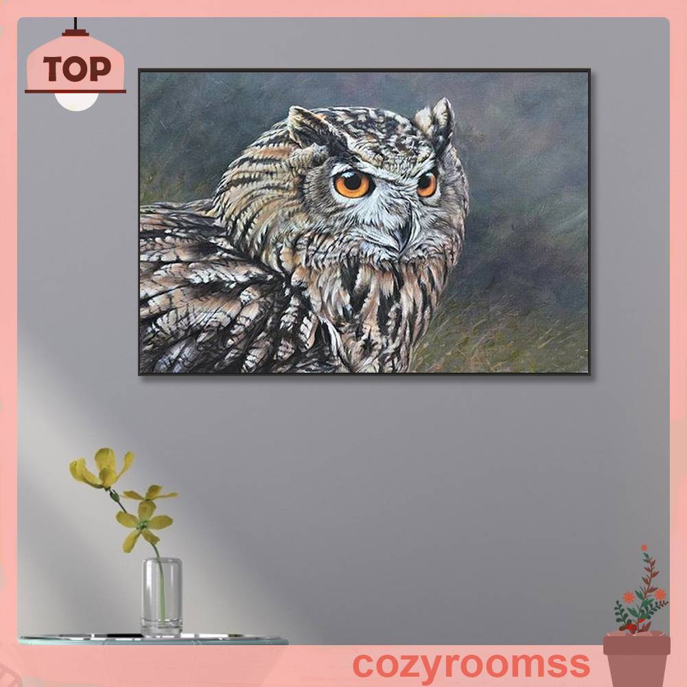 Tranh Đính Đá Kim Cương Toàn Bộ 5D DIY Hình Vẽ Con Cú