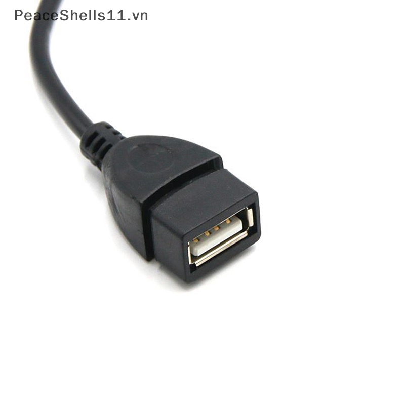 Dây Cáp OTG Chuyển Đổi Mini USB Male Sang USB Female Cho Máy Quay Video / Xe Hơi
