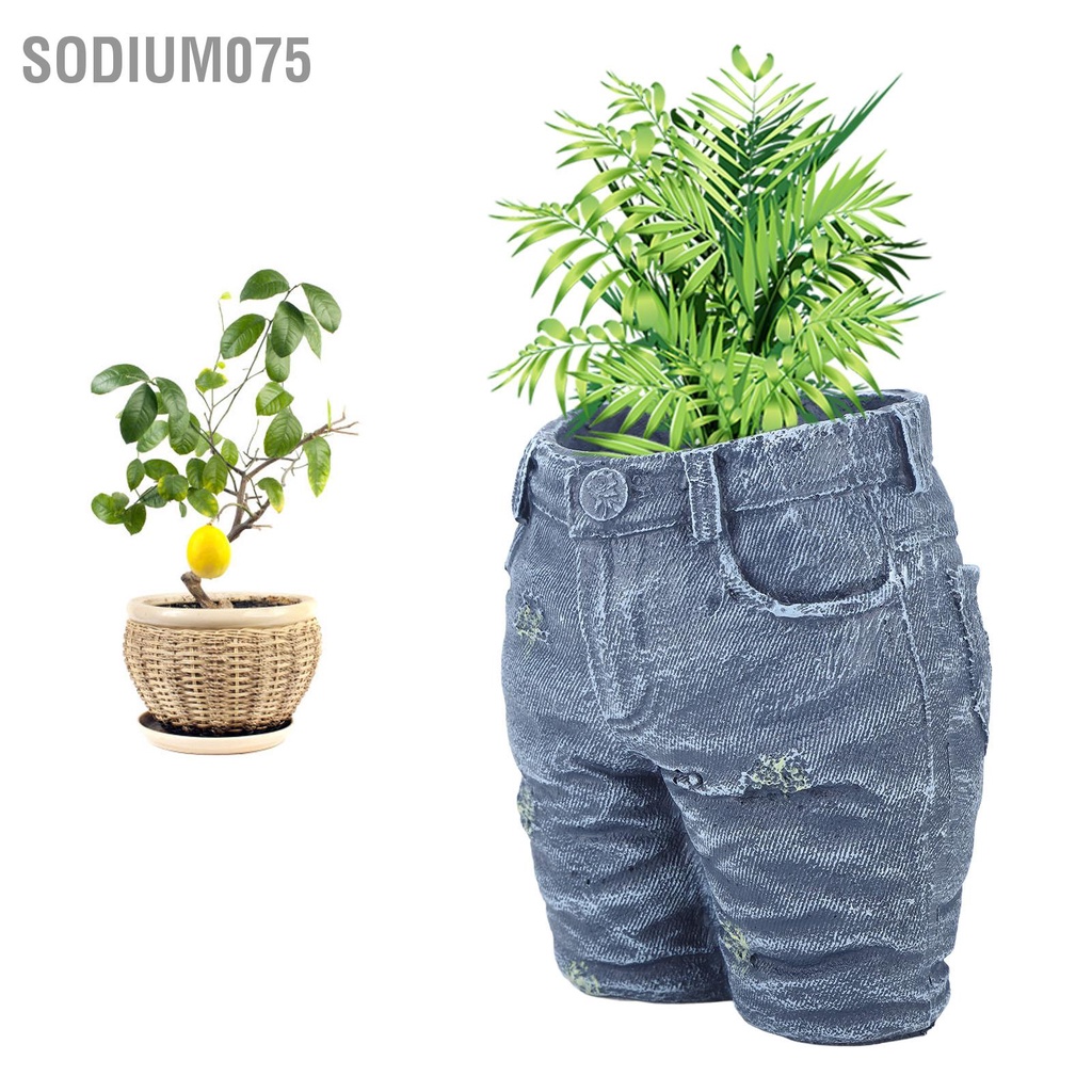 Sodium075 Sáng Tạo Hoa Denim Trang Trí Nồi Quần Áo Cho Vườn Thủ Công