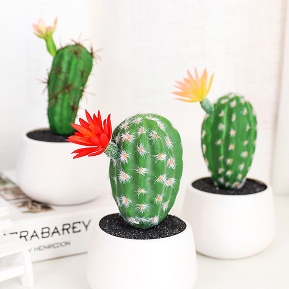 Chậu Cây Xương Rồng Giả Trang Trí Sân Vườn