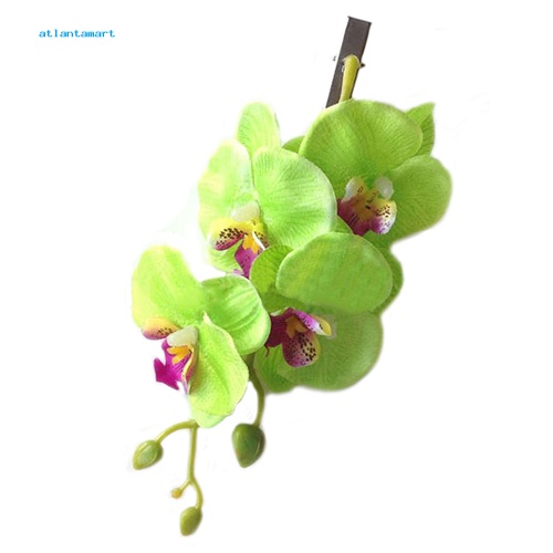 Túi Đựng Đồ Dùng Cao Cấp Tiện Dụng| Trâm Cài Tóc Đính Hoa Phaenopsis Giả Thời Trang Cho Cô Dâu