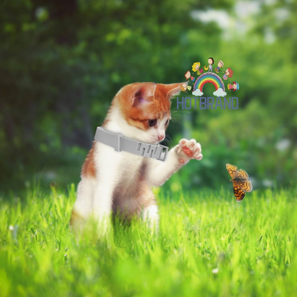 Vòng Cổ BằNg Silicone Cho Thú Cưng