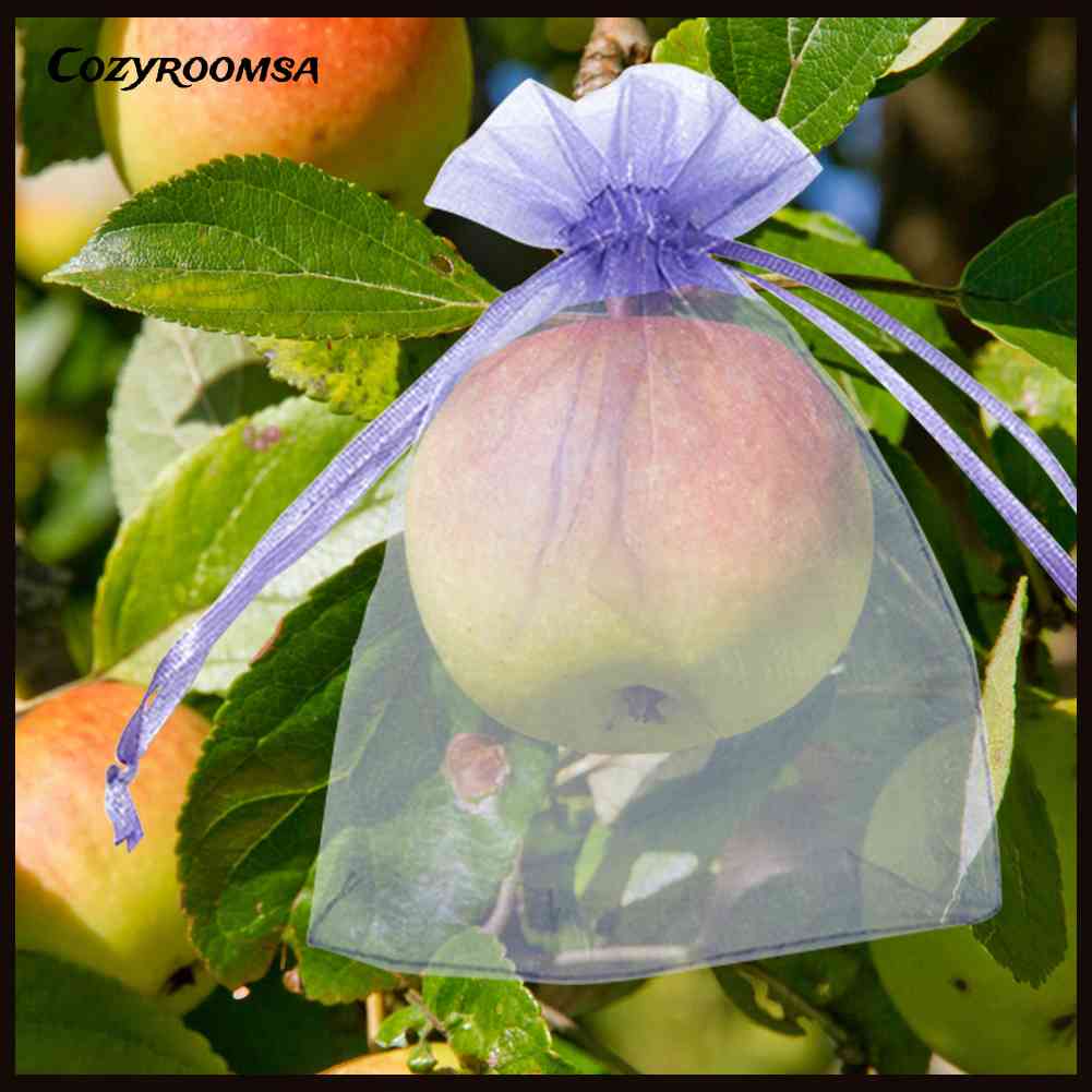 Bộ 100 Vỏ Lưới Bọc Bảo Vệ Cây Trồng