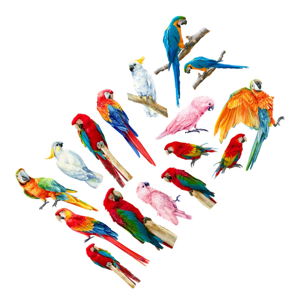 Miếng Dán Tường Hình Vẹt Nhiều Màu Chống Va Chạm