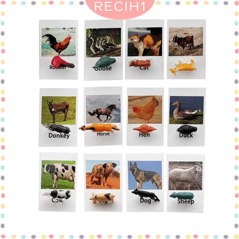 [Recih] Đồ Chơi Mô Hình Động Vật Biển Rừng Nhỏ Cho Bé Mẫu Giáo