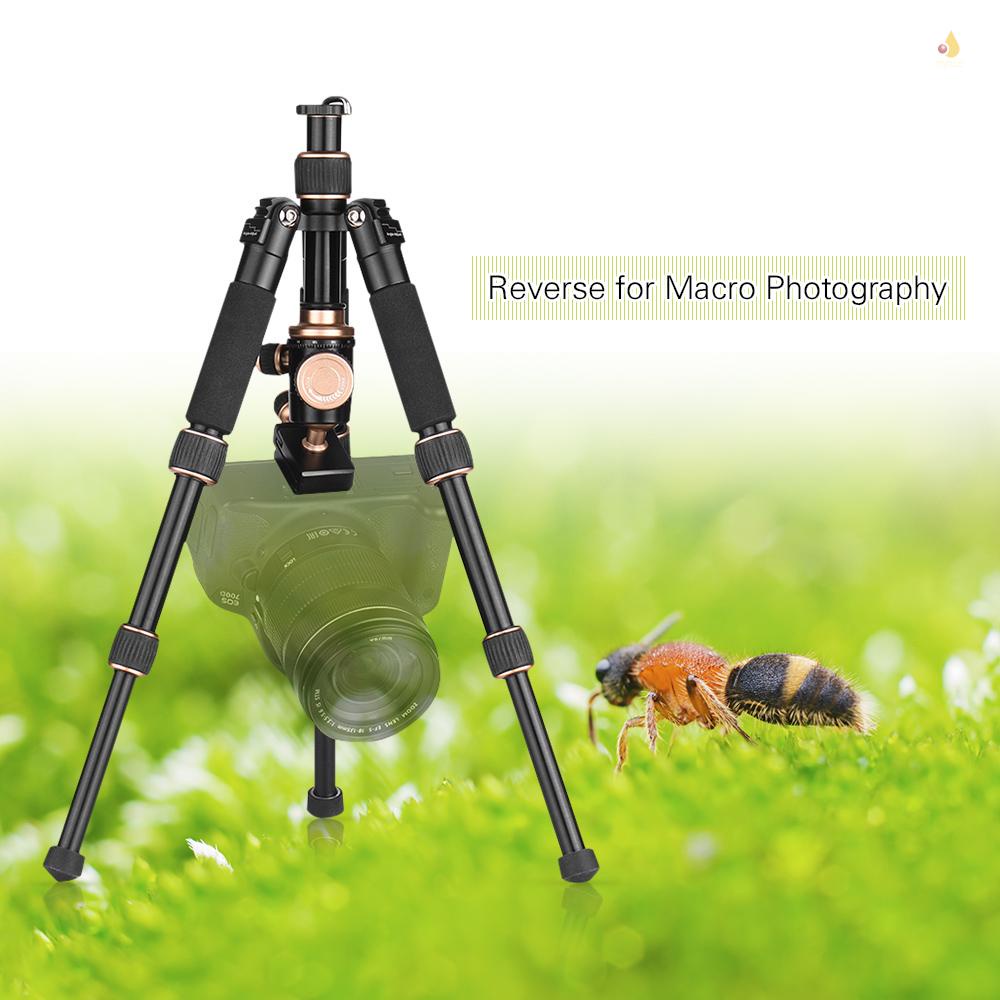 Andoer Giá Đỡ Ba Chân Mini 53cm / 21in Tháo Lắp Nhanh Đầu Bi Cho Máy Ảnh DSLR / Điện Thoại Thông Minh / DV
