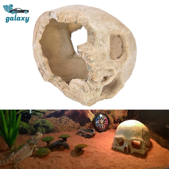 Galaxy Mô Hình Đầu Lâu Người Cho Bể Cá