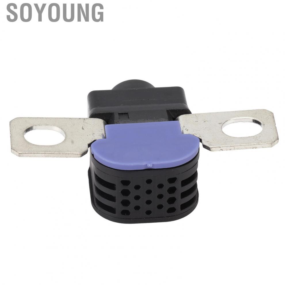 Soyoung Battery Disconnect Fuse Box Stable Current 4G0915519 Standard Size Overload Protector for Car Maintenance