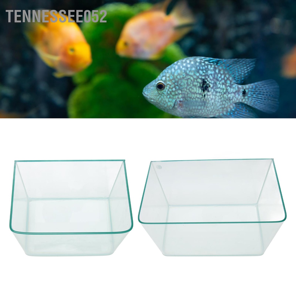 Tennessee052 Bể Cá Cao Cạnh Đánh Bóng Nhiệt Uốn Nhựa Công Nghệ Trong Suốt Cho Gia Đình Phòng Khách Ban Máy Tính Để Bàn