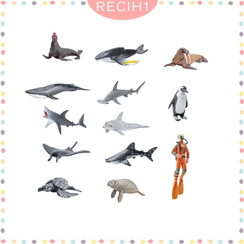 Set 13 Mô Hình Động Vật Dưới Biển Cho Bể Cá 5 6 7 8 Tuổi